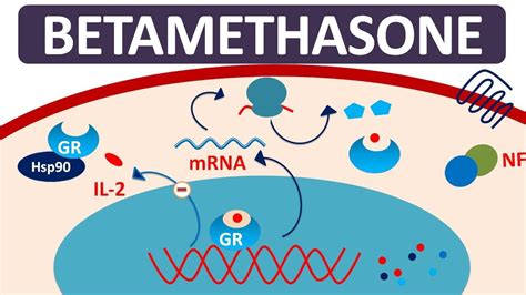 how does betamethasone work.